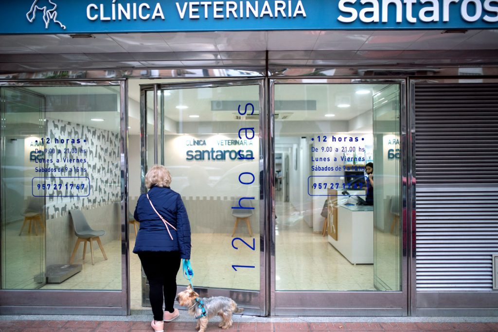 clinicas grupo santa rosa