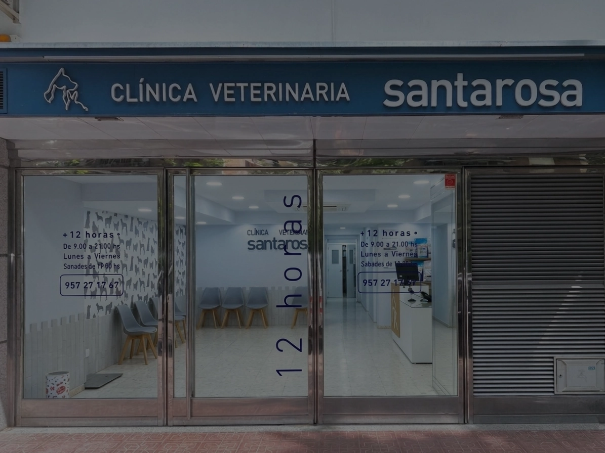 fachada-clinica-veterinaria-santa-rosa